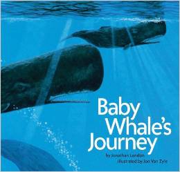 Baby Whale’s Journey