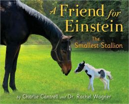 A Friend for Einstein: The Smallest Stallion