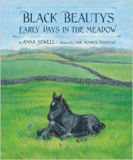 Black Beauty’s Early Days in the Meadow