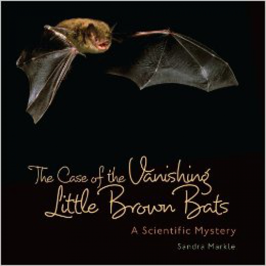 The Case of the Vanishing Little Brown Bats