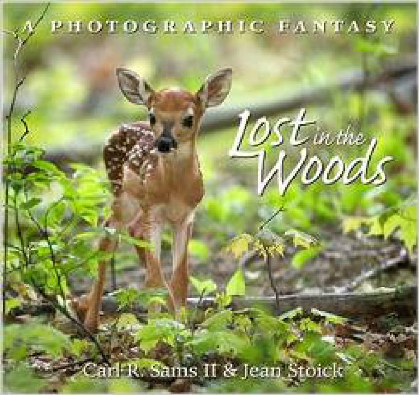Lost in the Woods: A Photographic Fantasy